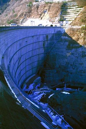 熊本での人工芝施工のメリットとプロが教える選び方ガイド