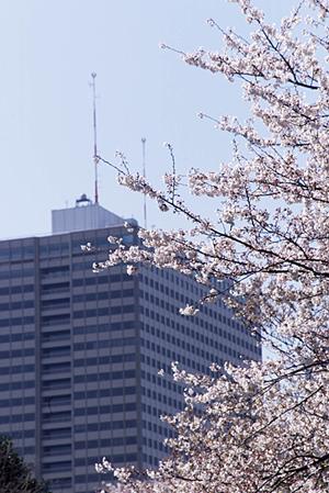 山口大学周辺の賃貸物件探しには