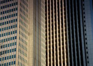 大型かご枠を検討しているならば