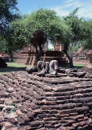 宮崎市の不動産売買のパートナー