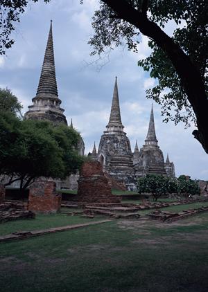 土地活用で話題のガレージハウス