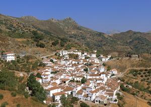 マンションの外壁工事を成功させるための最適な対策と選び方ガイド