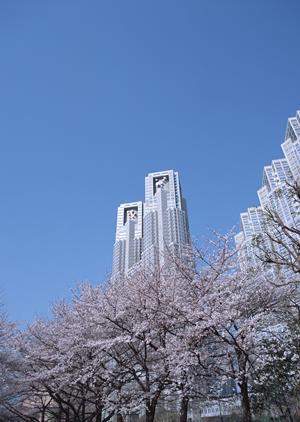 福島市の不動産でマンションを買おう